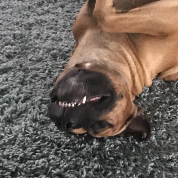 Meet your Posher, Cathy - Picture 1 of 1